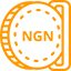 icon money