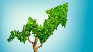 Bạn đã sẵn sàng cho lễ kỷ niệm chưa?